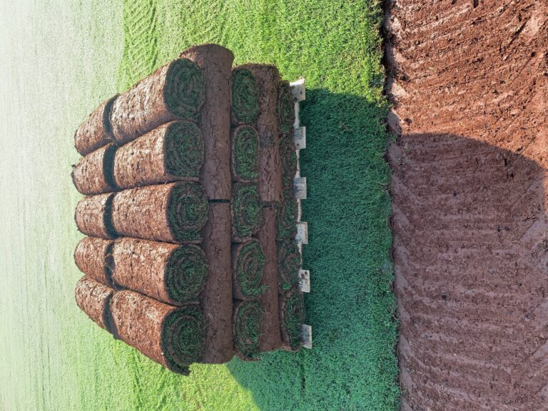 Fresh Sod Finest Pine Straw